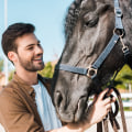How can i find a campsite with horseback riding nearby?