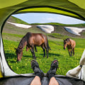 How do you camp with a horse?