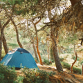 What are the top 5 camping states?