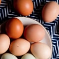 Are Humane Eggs from Farmers Markets Worth It?