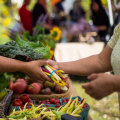 What is a Farmers' Market and What Does it Offer?